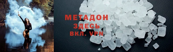 прущие грибы Тихвин