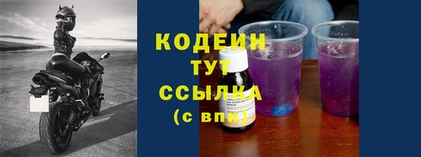 амф Тайга