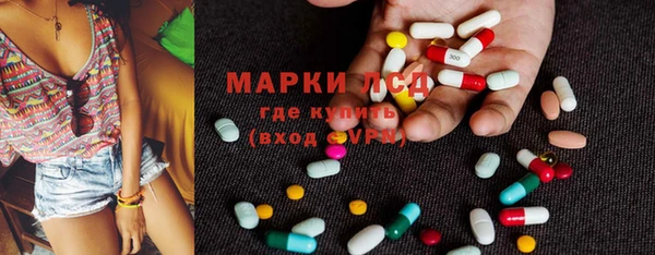 стафф Михайлов
