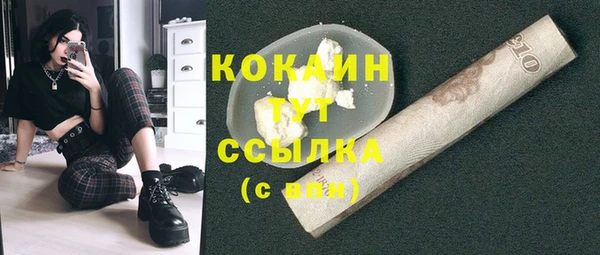 стафф Михайлов
