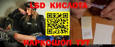 шишки Гатчина