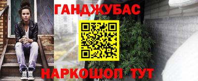 шишки Гатчина