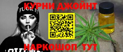 шишки Гатчина