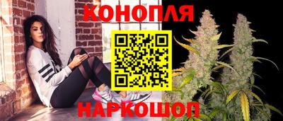 шишки Гатчина
