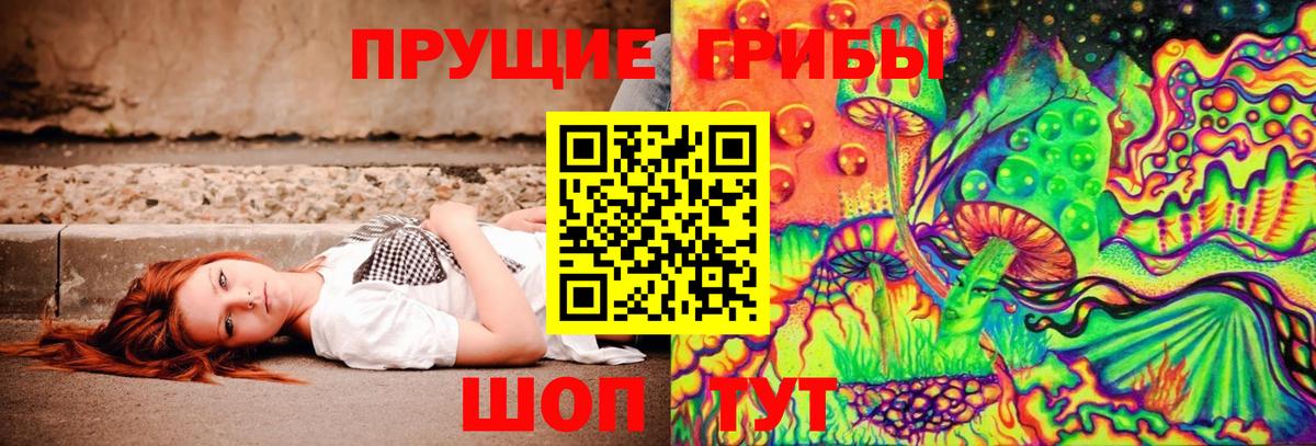 Псилоцибиновые грибы Psilocybe Кимры
