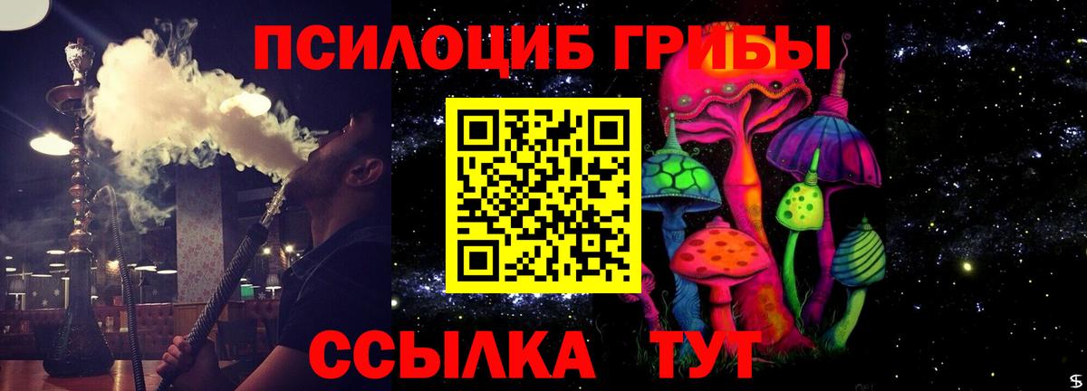 как найти закладки  Галлюциногенные грибы мухоморы  Вход с VPN  Псилоцибиновые грибы MAGIC MUSHROOMS  Кимры 
